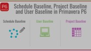 ایجاد Baseline (خط مبنا) در نرم‌افزار Primavera P6