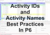 بهترین روش نام‌گذاری و تعیین شناسه‌ (ID) فعالیت‌ها در Primavera P6