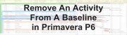 حذف یک فعالیت از Baseline در نرم‌افزار Primavera P6
