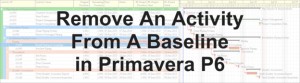 حذف یک فعالیت از Baseline در نرم‌افزار Primavera P6